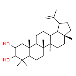 ChemSpider 2D Image | (5xi,9xi,13xi,18xi,19xi)-Lup-20(29)-ene-2,3-diol | C30H50O2
