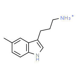 ChemSpider 2D Image | 3-(5-Methyl-1H-indol-3-yl)-1-propanaminium | C12H17N2