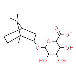 ChemSpider 2D Image | 1,7,7-Trimethylbicyclo[2.2.1]hept-2-yl hexopyranosiduronate | C16H25O7