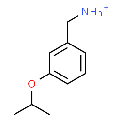 ChemSpider 2D Image | (3-Isopropoxyphenyl)methanaminium | C10H16NO