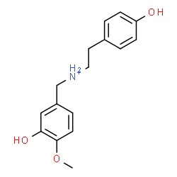 ChemSpider 2D Image | N-(3-Hydroxy-4-methoxybenzyl)-2-(4-hydroxyphenyl)ethanaminium | C16H20NO3