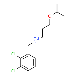 ChemSpider 2D Image | N-(2,3-Dichlorobenzyl)-3-isopropoxy-1-propanaminium | C13H20Cl2NO