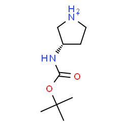 ChemSpider 2D Image | (3S)-3-({[(2-Methyl-2-propanyl)oxy]carbonyl}amino)pyrrolidinium | C9H19N2O2