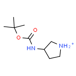 ChemSpider 2D Image | 3-({[(2-Methyl-2-propanyl)oxy]carbonyl}amino)pyrrolidinium | C9H19N2O2