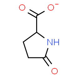 ChemSpider 2D Image | Pyroglutamate | C5H6NO3