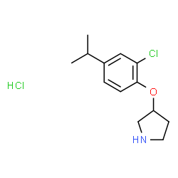 ChemSpider 2D Image | 3-(2-Chloro-4-isopropylphenoxy)pyrrolidine hydrochloride | C13H19Cl2NO
