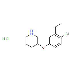 ChemSpider 2D Image | 3-(4-Chloro-3-ethylphenoxy)piperidine hydrochloride | C13H19Cl2NO