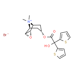 ChemSpider 2D Image | (1S,2R,4S,5S,7R)-7-[2-Hydroxy(di-2-thienyl)acetoxy]-9,9-dimethyl-3-oxa-9-azoniatricyclo[3.3.1.0~2,4~]nonane bromide | C19H22BrNO4S2