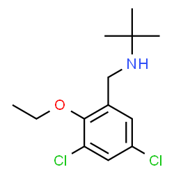 ChemSpider 2D Image | N-(3,5-Dichloro-2-ethoxybenzyl)-2-methyl-2-propanamine | C13H19Cl2NO