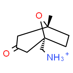 ChemSpider 2D Image | [(1S,5R)-5-Methyl-3-oxo-8-oxabicyclo[3.2.1]oct-1-yl]methanaminium | C9H16NO2