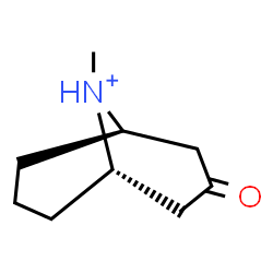 ChemSpider 2D Image | (1R,5S)-9-Methyl-3-oxo-9-azoniabicyclo[3.3.1]nonane | C9H16NO