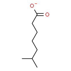 ChemSpider 2D Image | 6-Methylheptanoate | C8H15O2