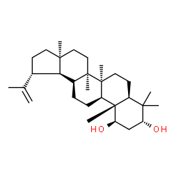 ChemSpider 2D Image | (1beta,3alpha,8alpha,13alpha,17alpha)-Lup-20(29)-ene-1,3-diol | C30H50O2