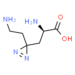 ChemSpider 2D Image | 3-[3-(2-Aminoethyl)-3H-diaziren-3-yl]-D-alanine | C6H12N4O2