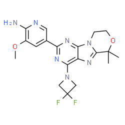 ChemSpider 2D Image | 5-[4-(3,3-Difluoro-1-azetidinyl)-6,6-dimethyl-8,9-dihydro-6H-[1,4]oxazino[4,3-e]purin-2-yl]-3-methoxy-2-pyridinamine | C19H21F2N7O2