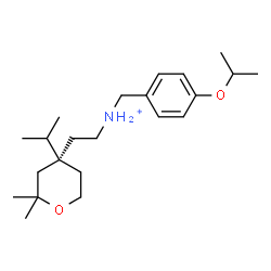 ChemSpider 2D Image | N-(4-Isopropoxybenzyl)-2-[(4S)-4-isopropyl-2,2-dimethyltetrahydro-2H-pyran-4-yl]ethanaminium | C22H38NO2