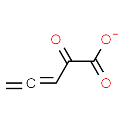 ChemSpider 2D Image | 2-Oxo-3,4-pentadienoate | C5H3O3