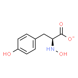 ChemSpider 2D Image | (2S)-2-(Hydroxyamino)-3-(4-hydroxyphenyl)propanoate | C9H10NO4