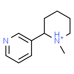 ChemSpider 2D Image | 1-Methyl-2-(3-pyridinyl)piperidinium | C11H17N2
