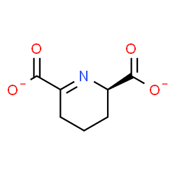 ChemSpider 2D Image | (2R)-2,3,4,5-Tetrahydro-2,6-pyridinedicarboxylate | C7H7NO4