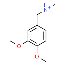 ChemSpider 2D Image | (3,4-Dimethoxyphenyl)-N-methylmethanaminium | C10H16NO2