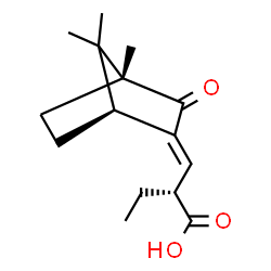 ChemSpider 2D Image | (2S)-2-{(E)-[(1S,4R)-4,7,7-Trimethyl-3-oxobicyclo[2.2.1]hept-2-ylidene]methyl}butanoic acid | C15H22O3