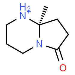 ChemSpider 2D Image | (8aR)-8a-Methyl-6-oxooctahydropyrrolo[1,2-a]pyrimidin-1-ium | C8H15N2O