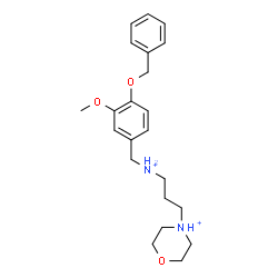 ChemSpider 2D Image | 4-(3-{[4-(Benzyloxy)-3-methoxybenzyl]ammonio}propyl)morpholin-4-ium | C22H32N2O3