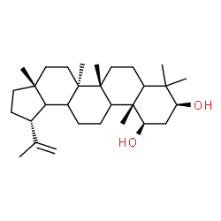 ChemSpider 2D Image | (1beta,3beta,5xi,9xi,13xi,18xi)-Lup-20(29)-ene-1,3-diol | C30H50O2