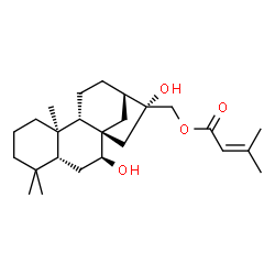 ChemSpider 2D Image | (5beta,7beta,8alpha,9beta,10alpha,16beta)-7,16-Dihydroxykauran-17-yl 3-methyl-2-butenoate | C25H40O4