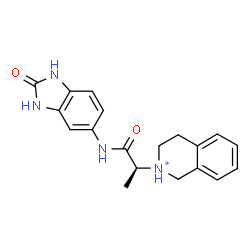 ChemSpider 2D Image | 2-{(2S)-1-Oxo-1-[(2-oxo-2,3-dihydro-1H-benzimidazol-5-yl)amino]-2-propanyl}-1,2,3,4-tetrahydroisoquinolinium | C19H21N4O2