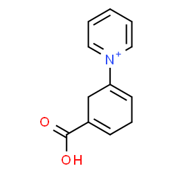 ChemSpider 2D Image | 1-(5-Carboxy-1,4-cyclohexadien-1-yl)pyridinium | C12H12NO2