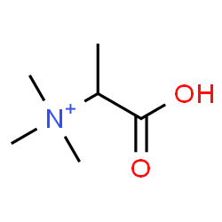 ChemSpider 2D Image | 1-Carboxy-N,N,N-trimethylethanaminium | C6H14NO2