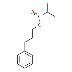 ChemSpider 2D Image | 3-Phenylpropyl 2-methyl(1-~13~C)propanoate | C1213CH18O2
