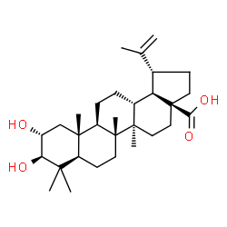 ChemSpider 2D Image | Alphitolic acid | C30H48O4