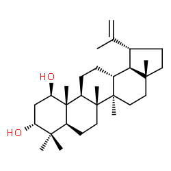 ChemSpider 2D Image | glochidiol | C30H50O2