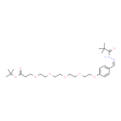 ChemSpider 2D Image | 2-Methyl-2-propanyl 1-(4-{(Z)-[(2,2-dimethylpropanoyl)hydrazono]methyl}phenoxy)-3,6,9,12-tetraoxapentadecan-15-oate | C27H44N2O8