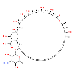 ChemSpider 2D Image | (1R,3S,5R,6R,9R,11R,15S,16R,17R,18S,21Z,25Z,33R,35S,36R,37S)-33-[(3-Amino-3,6-dideoxy-beta-D-mannopyranosyl)oxy]-3,5,6,9,11,17,37-heptahydroxy-1-methoxy-15,16,18-trimethyl-13-oxo-14,39-dioxabicyclo[33
.3.1]nonatriaconta-19,21,23,25,27,29,31-heptaene-36-carboxylic acid | C48H75NO17
