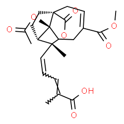 ChemSpider 2D Image | (2E,4Z)-5-[(1R,7S,8S,9R)-7-Acetoxy-4-(methoxycarbonyl)-9-methyl-11-oxo-10-oxatricyclo[6.3.2.0~1,7~]tridec-3-en-9-yl]-2-methyl-2,4-pentadienoic acid | C23H28O8