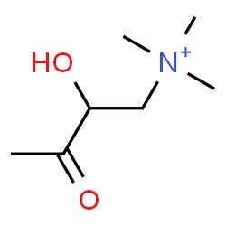 ChemSpider 2D Image | 2-Hydroxy-N,N,N-trimethyl-3-oxo-1-butanaminium | C7H16NO2