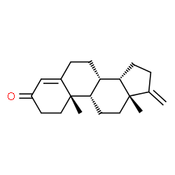 ChemSpider 2D Image | (8alpha,10alpha,13alpha)-17-Methyleneandrost-4-en-3-one | C20H28O