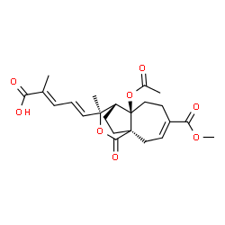 ChemSpider 2D Image | (2E,4E)-5-[(1R,7R,8R,9S)-7-Acetoxy-4-(methoxycarbonyl)-9-methyl-11-oxo-10-oxatricyclo[6.3.2.0~1,7~]tridec-3-en-9-yl]-2-methyl-2,4-pentadienoic acid | C23H28O8