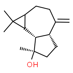 ChemSpider 2D Image | (4aR,7R,7aS,7bS)-1,1,7-Trimethyl-4-methylenedecahydro-1H-cyclopropa[e]azulen-7-ol | C15H24O