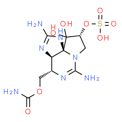 ChemSpider 2D Image | [(3aR,4S,9R,10aR)-2,6-Diamino-10,10-dihydroxy-9-(sulfooxy)-3a,4,9,10-tetrahydro-1H,8H-pyrrolo[1,2-c]purin-4-yl]methyl carbamate | C10H17N7O8S