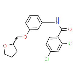 ChemSpider 2D Image | 2,4-Dichloro-N-[3-(tetrahydro-2-furanylmethoxy)phenyl]benzamide | C18H17Cl2NO3