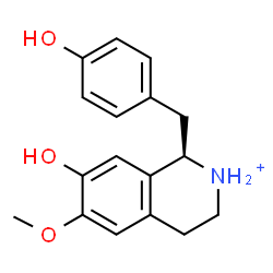 ChemSpider 2D Image | (1R)-7-Hydroxy-1-(4-hydroxybenzyl)-6-methoxy-1,2,3,4-tetrahydroisoquinolinium | C17H20NO3
