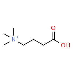 ChemSpider 2D Image | 4-Trimethylammoniobutanoic acid | C7H16NO2