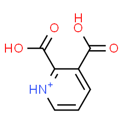 ChemSpider 2D Image | 2,3-Dicarboxypyridinium | C7H6NO4