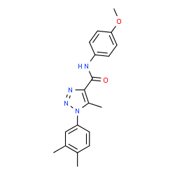 ChemSpider 2D Image | 1-(3,4-Dimethylphenyl)-N-(4-methoxyphenyl)-5-methyl-1H-1,2,3-triazole-4-carboxamide | C19H20N4O2
