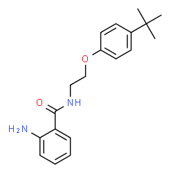 ChemSpider 2D Image | 2-Amino-N-{2-[4-(2-methyl-2-propanyl)phenoxy]ethyl}benzamide | C19H24N2O2